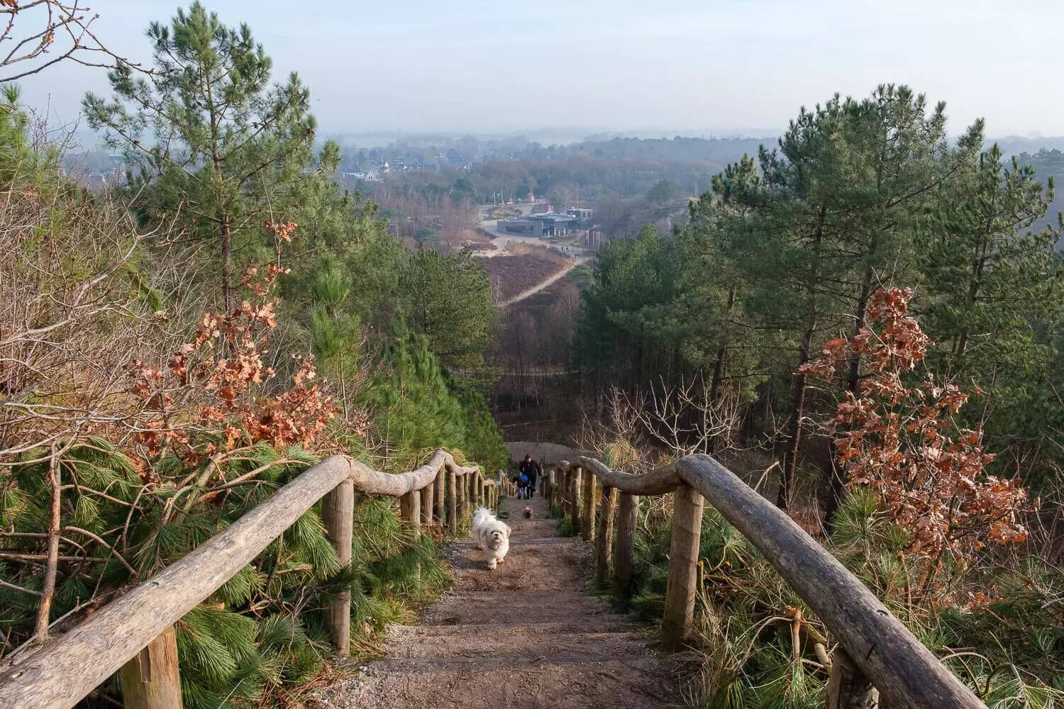 Top 5 losloopgebieden noord-holland welkoop